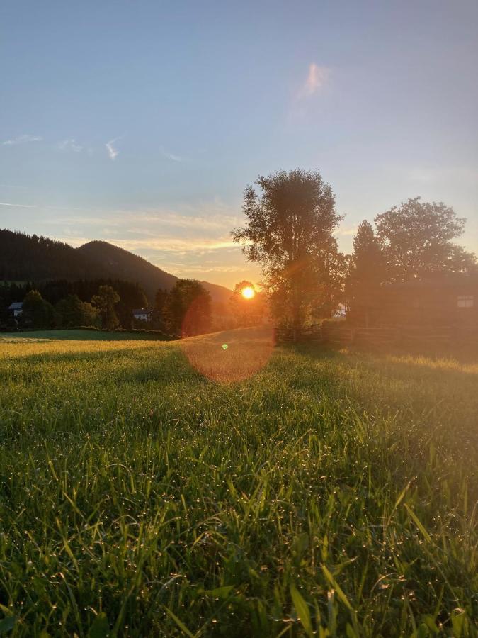 Haslehnerhof * Ramsau am Dachstein