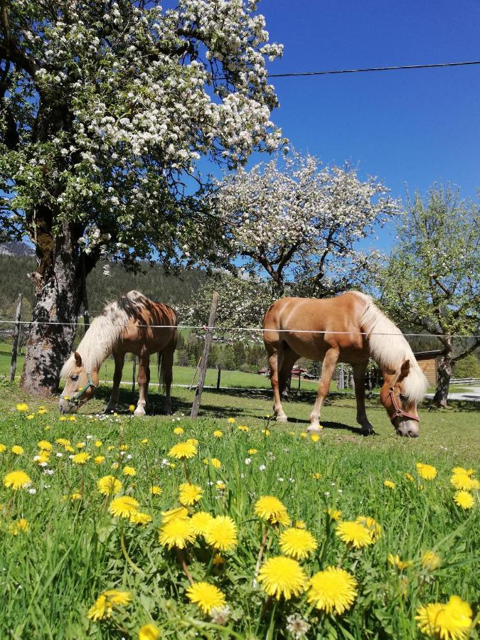 Haslehnerhof Farm stay *
