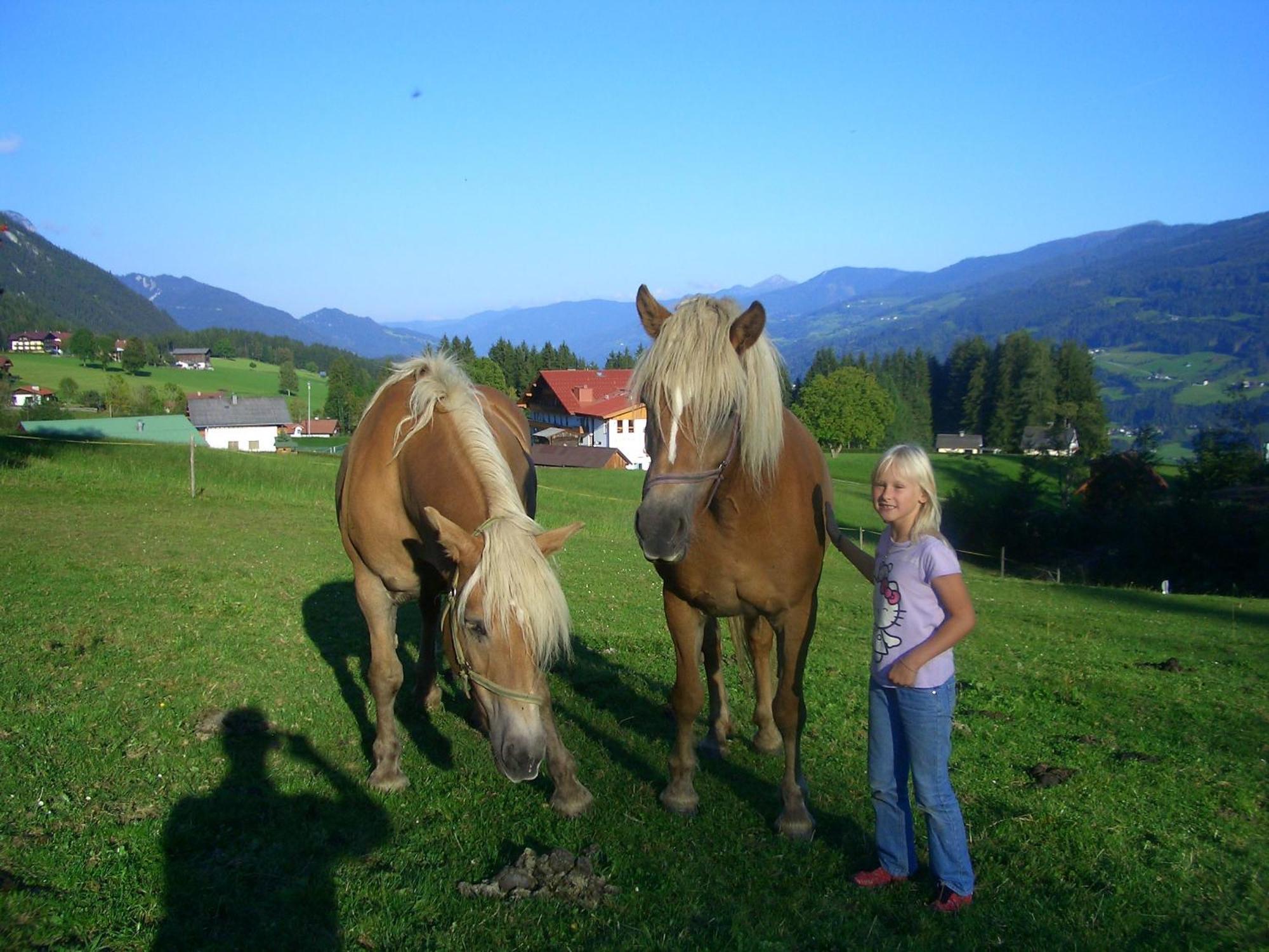 Haslehnerhof